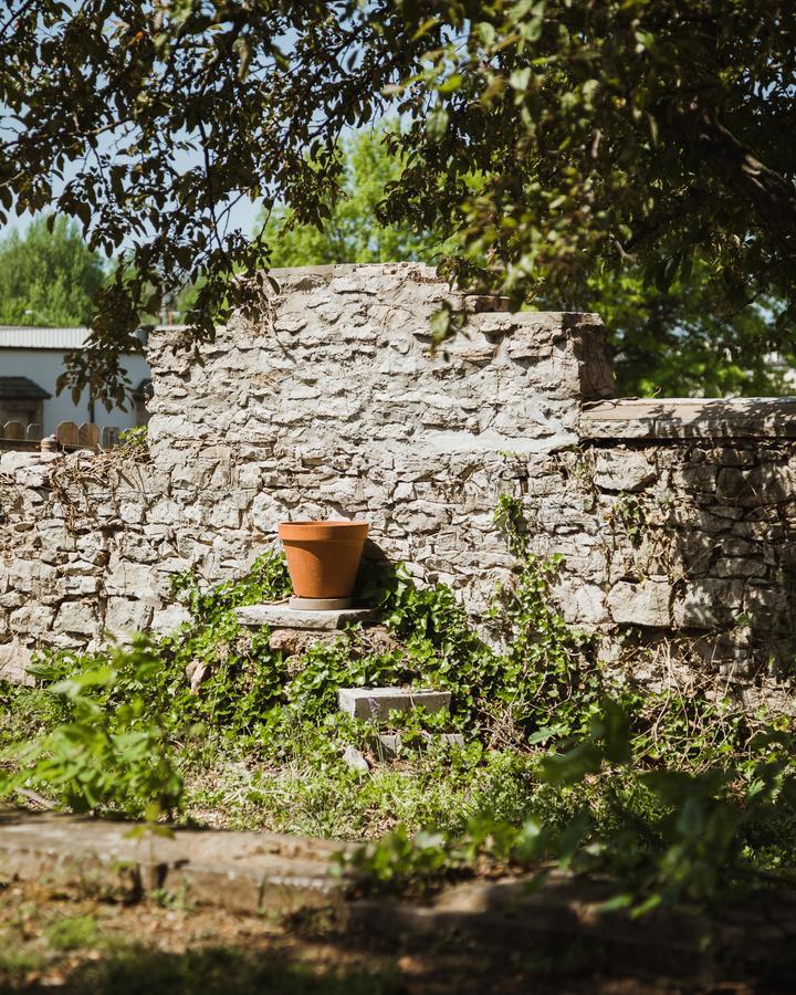 The Mansion At Elfindale Bed & Breakfast Спрингфийлд Екстериор снимка